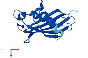 AlphaFold protein structure predicition of Human Recombinant ACOT13 Protein, UniprotID Q9NPJ3