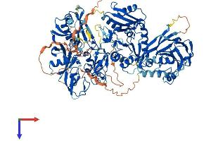 AlphaFold protein structure predicition of Mouse Recombinant Dgkq Protein, UniprotID Q6P5E8