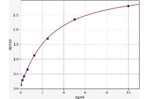 Argininosuccinate Synthase 1 (ASS1) ELISA Kit