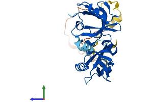 AlphaFold protein structure predicition of Mouse Recombinant Sdcbp2 Protein, UniprotID Q99JZ0