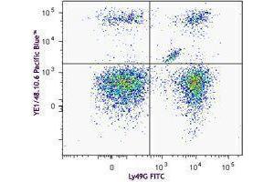 Flow Cytometry (FACS) image for anti-Killer Cell Lectin-Like Receptor, Subfamily A, Member 1 (KLRA1) antibody (Pacific Blue) (ABIN2662358)