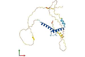 AlphaFold protein structure predicition of Mouse Recombinant Mesp1 Protein, UniprotID P97309