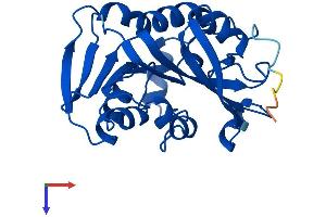 AlphaFold protein structure predicition of Mouse Recombinant Tpmt Protein, UniprotID O55060