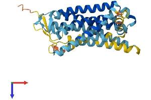 AlphaFold protein structure predicition of Human Recombinant OR10AD1 Protein, UniprotID Q8NGE0