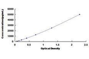 ELISA image for S100 Calcium Binding Protein A8 (S100A8) ELISA Kit (ABIN1118098)