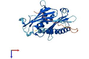 AlphaFold protein structure predicition of Mouse Recombinant Exosc5 Protein, UniprotID Q9CRA8
