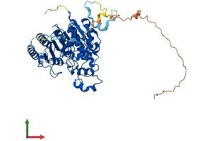 AlphaFold protein structure predicition of Mouse Recombinant Hdac1 Protein, UniprotID O09106