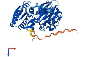 AlphaFold protein structure predicition of Human Recombinant SPHK1 Protein, UniprotID Q9NYA1