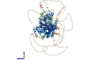 AlphaFold protein structure predicition of Mouse Recombinant Atp10a Protein, UniprotID O54827