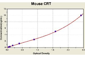 Calreticulin (CALR) ELISA Kit