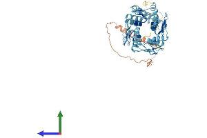 AlphaFold protein structure predicition of Human Recombinant ZNF85 Protein, UniprotID Q03923