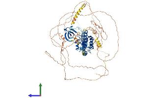 AlphaFold protein structure predicition of Mouse Recombinant Map3k12 Protein, UniprotID Q60700