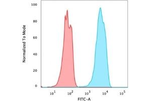 Flow Cytometric Analysis of PFA fixed MCF-7 cells using FOXA1 Rabbit Recombinant Monoclonal Antibody (FOXA1/2230R), followed by goat anti-rabbit IgG-CF488 (Blue), Goat anti-rabbit IgG-CF488 Is Control (Red). (Recombinant FOXA1 anticorps  (AA 372-472))
