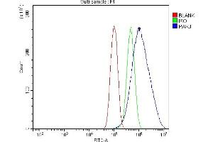 Flow Cytometry analysis of PC-3 cells using anti-PAK3 antibody (ABIN7599182).