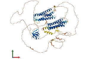 AlphaFold protein structure predicition of Mouse Recombinant Nedd9 Protein, UniprotID O35177