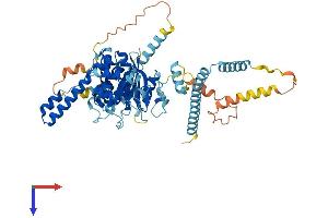 AlphaFold protein structure predicition of Mouse Recombinant Pes1 Protein, UniprotID Q9EQ61