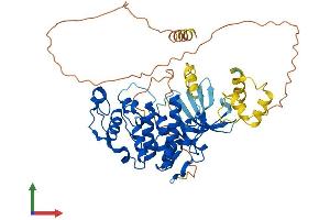 AlphaFold protein structure predicition of Mouse Recombinant Cdk16 Protein, UniprotID Q04735