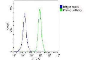 Overlay histogram showing A549 cells stained with (ABIN1881685 and ABIN2842377) (green line).