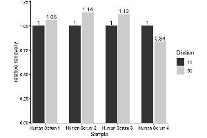 The Human Zonulin ELISA Kit was tested for linearity of dilution by using different dilutions of appropriate samples and testing for recovery using the SOP. (Zonulin Kit ELISA)
