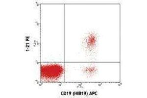 Flow Cytometry (FACS) image for anti-T-Cell Leukemia/lymphoma 1A (TCL1A) antibody (PE) (ABIN2663891) (TCL1A anticorps  (PE))