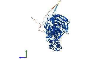 AlphaFold protein structure predicition of Mouse Recombinant Klhl9 Protein, UniprotID Q6ZPT1