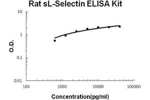 Rat sL-Selectin PicoKine ELISA Kit standard curve (L-Selectin Kit ELISA)