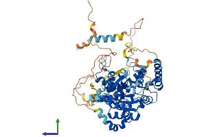 AlphaFold protein structure predicition of Human Recombinant GNL1 Protein, UniprotID P36915