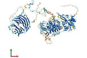 AlphaFold protein structure predicition of Mouse Recombinant Pan2 Protein, UniprotID Q8BGF7