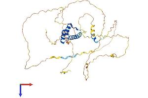 AlphaFold protein structure predicition of Mouse Recombinant Hoxd3 Protein, UniprotID P09027