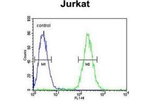Flow cytometric analysis of Jurkat cells using GNAT1 Antibody (C-term) Cat. (GNAT1 anticorps  (C-Term))