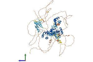 AlphaFold protein structure predicition of Human Recombinant ZHX1 Protein, UniprotID Q9UKY1