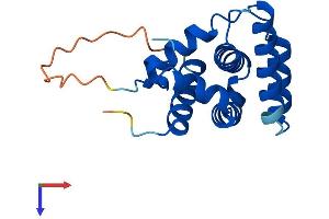 BCL2-Like 15 (BCL2L5) (AA 1-163) protein (His tag)