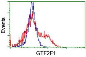 HEK293T cells transfected with either RC201294 overexpress plasmid (Red) or empty vector control plasmid (Blue) were immunostained by anti-GTF2F1 antibody (ABIN2454912), and then analyzed by flow cytometry. (GTF2F1 anticorps)