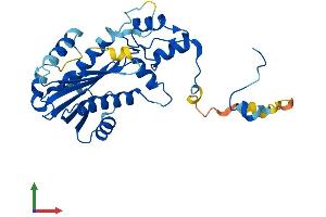 AlphaFold protein structure predicition of Mouse Recombinant Rnaseh2a Protein, UniprotID Q9CWY8