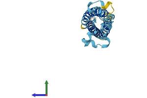 AlphaFold protein structure predicition of Mouse Recombinant Tm4sf1 Protein, UniprotID Q64302