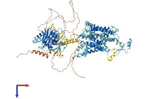 AlphaFold protein structure predicition of Mouse Recombinant Slc4a10 Protein, UniprotID Q5DTL9