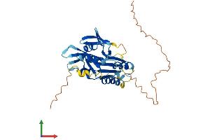 AlphaFold protein structure predicition of Human Recombinant MEDAG Protein, UniprotID Q5VYS4