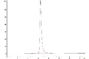 The purity of Human TEM1 is greater than 95 % as determined by SEC-HPLC.