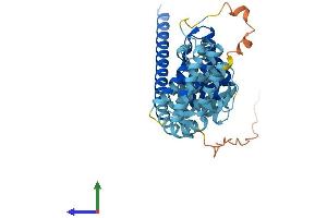 AlphaFold protein structure predicition of Human Recombinant MRPS27 Protein, UniprotID Q92552