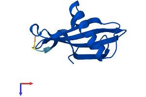 AlphaFold protein structure predicition of Human Recombinant CSTB Protein, UniprotID P04080