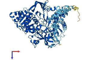 AlphaFold protein structure predicition of Human Recombinant ACSL4 Protein, UniprotID O60488
