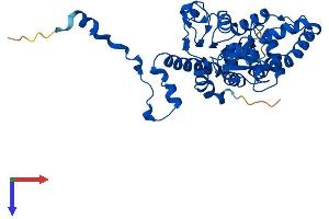 AlphaFold protein structure predicition of Human Recombinant DHPS Protein, UniprotID P49366