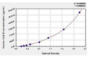 Typical standard curve (HLA-E Kit ELISA)