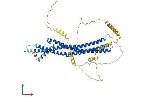 AlphaFold protein structure predicition of Mouse Recombinant Ica1 Protein, UniprotID P97411