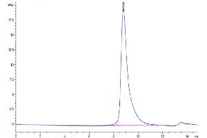 The purity of Biotinylated Human Siglec-10 is greater than 95 % as determined by SEC-HPLC.