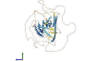 AlphaFold protein structure predicition of Human Recombinant PPP1R12B Protein, UniprotID O60237