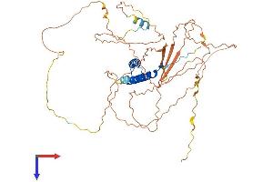 AlphaFold protein structure predicition of Human Recombinant CABYR Protein, UniprotID O75952