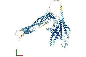 AlphaFold protein structure predicition of Human Recombinant ATP6V0A4 Protein, UniprotID Q9HBG4