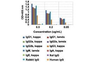 ELISA analysis of Mouse IgG monoclonal antibody, clone RMG07  at the following concentrations: 0. (Chèvre anti-Souris Immunoglobulin Heavy Constant gamma 1 (G1m Marker) (IGHG1) Anticorps (Biotin))