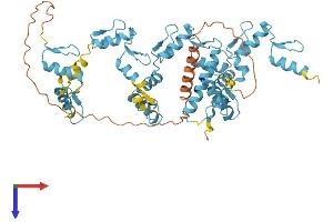 AlphaFold protein structure predicition of Human Recombinant ZFP82 Protein, UniprotID Q8N141